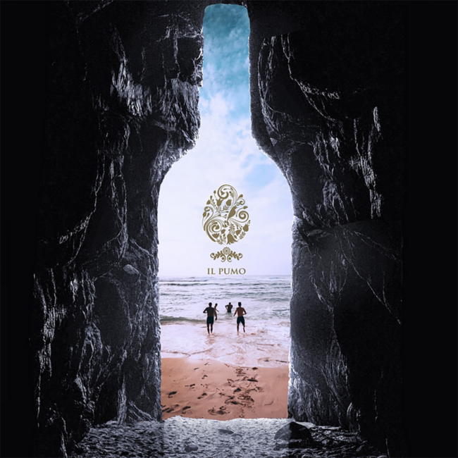 Il Pumo Primitivo Salento IGP 2024 0.75 l