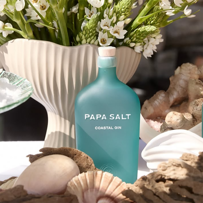 Papa Salt Coastal Gin 0.7 l 42.8% vol