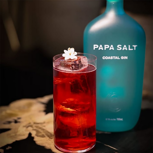 Papa Salt Coastal Gin 0.7 l 42.8% vol