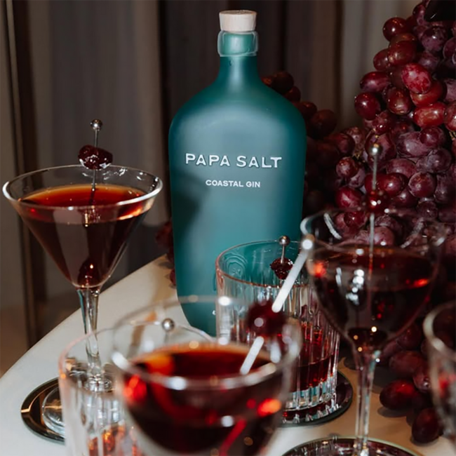 Papa Salt Coastal Gin 0.7 l 42.8% vol