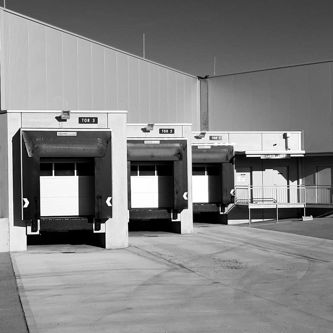 Grüner Veltliner vom Haus 2025 0.75 l