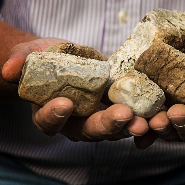 Vieris Sauvignon Blanc 2023 0.75 l