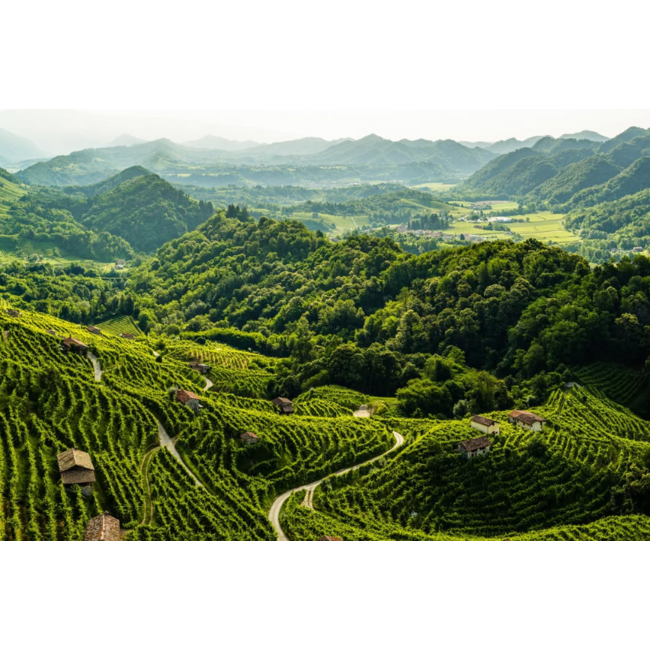 Col Vetoraz  Valdobbiadene Prosecco Superiore DOCG Millesimato 0.75 l