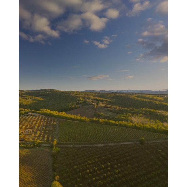 Crema di Cappuccino Cream Likör 0.5 l 15% vol