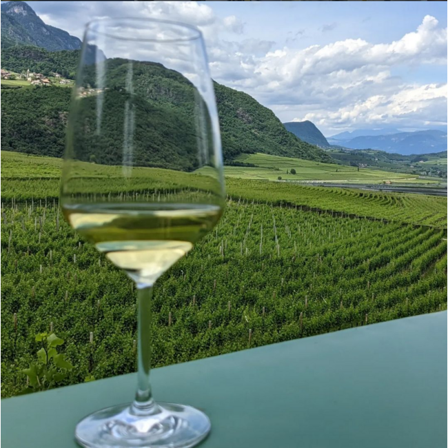 Stoan (CH/WB/SB/GTr) Alto Adige DOC 2023 0.75 l