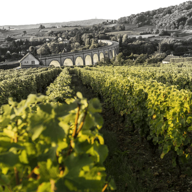 Sancerre "Le Rochoy" AOP 2025 0.75 l
