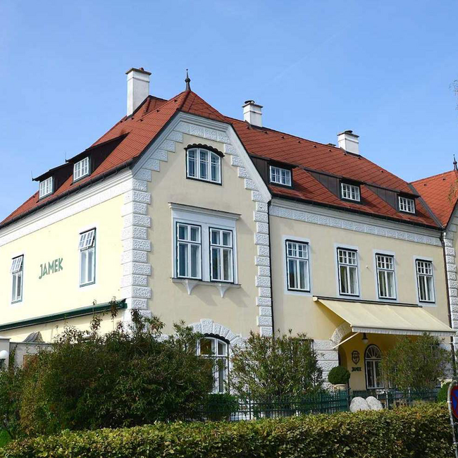 Grüner Veltliner Federspiel Stein am Rain Wachau DAC 2025 0.75 l