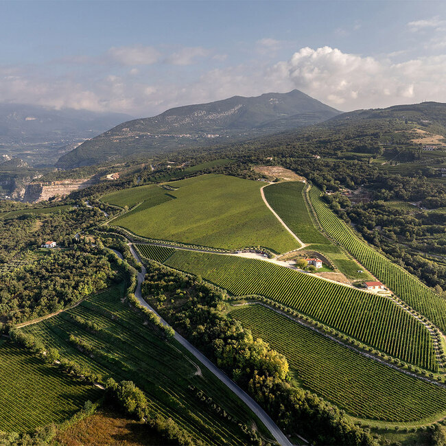 Amarone Classico della Valpolicella Riserva DOC 2018 0.75 l