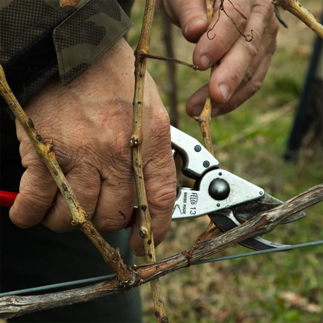 Amarone Classico della Valpolicella Riserva DOC 2018 0.75 l