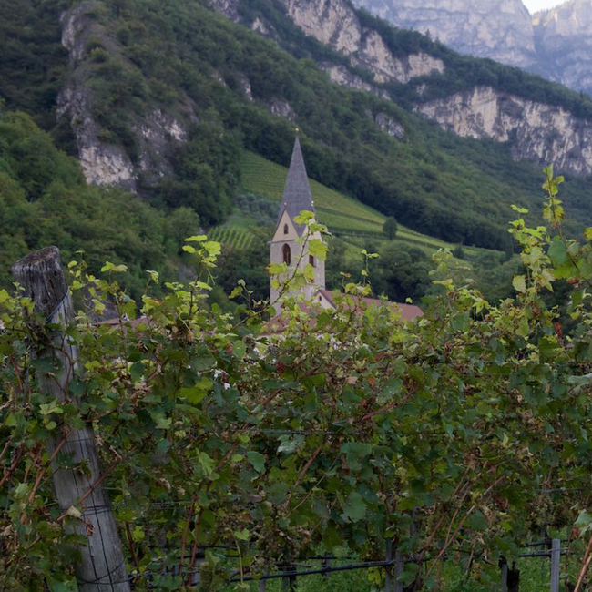 Chardonnay Alto Adige DOC 2025 0.75 l