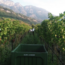 Chardonnay Alto Adige DOC 2025 0.75 l