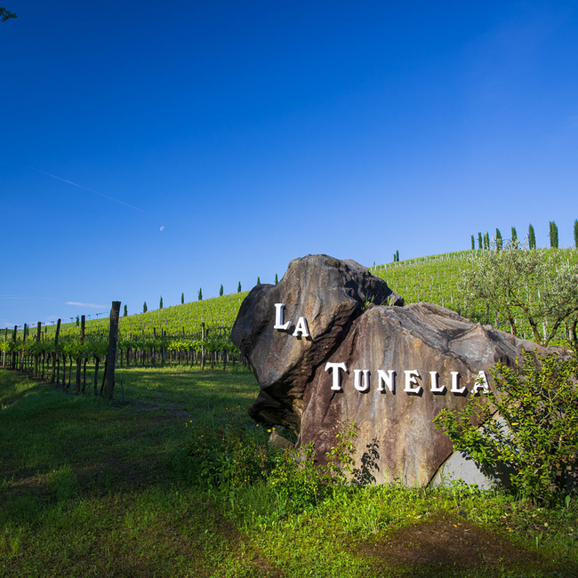 Friulano Friuli DOP 2025 0.75 l