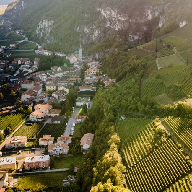 Gaun Chardonnay Dolomiti IGT 2024 0.75 l