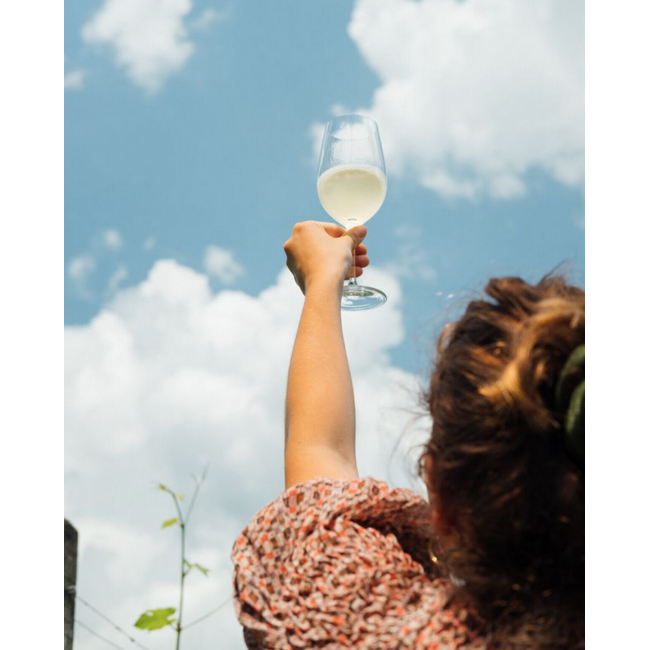 Gaun Chardonnay Dolomiti IGT 2024 0.75 l