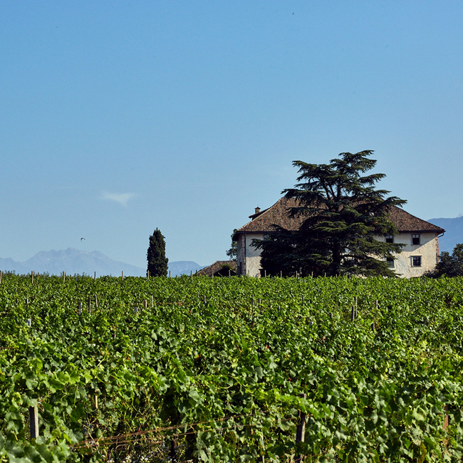 Lagrein Südtirol Alto Adige DOC 2023 0.75 l