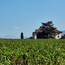 Lagrein Südtirol Alto Adige DOC 2023 0.75 l