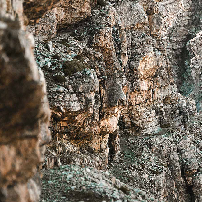 Riff Pinot Grigio delle Venezie DOC 2025 0.75 l