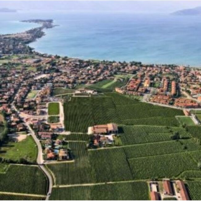 Rosa dei Frati DOC 2025 0.75 l