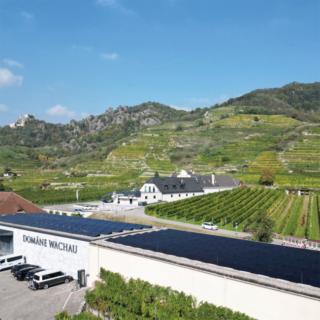 Chardonnay Reserve 2022 0.75 l