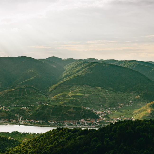 Grüner Veltliner Steinfeder Spitz Wachau DAC 2024 0.75 l