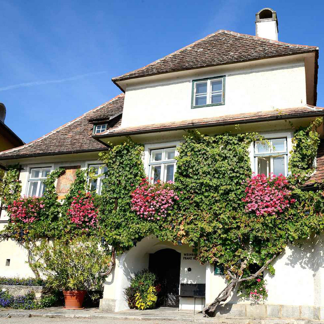 Grüner Veltliner Steinfeder Spitz Wachau DAC 2024 0.75 l