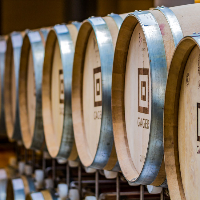 Quattro (CS/ME/ZW/BF) 2023 Magnum 1.5 l