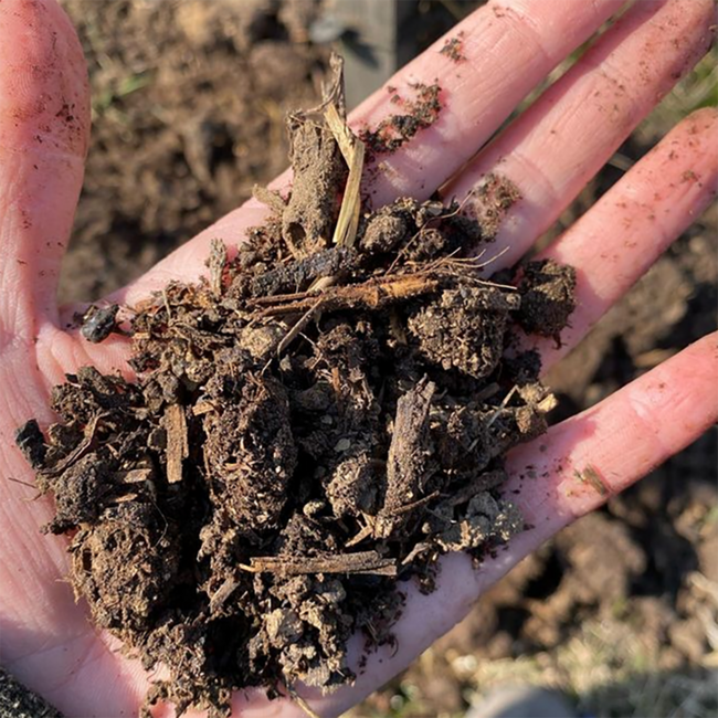 Blaufränkisch Hochberc 2022 0.75 l