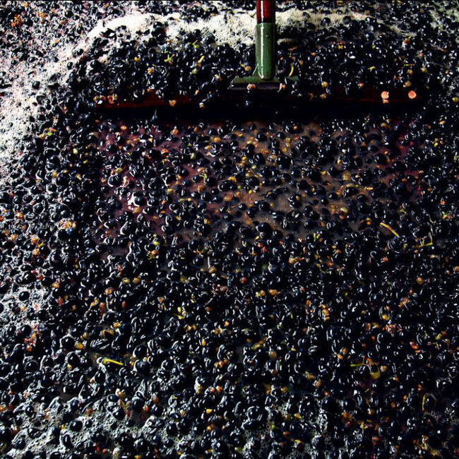 Blaufränkisch Perwolff 2022 Magnum 1.5 l