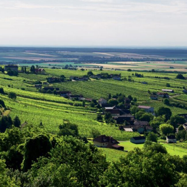 Blaufränkisch Perwolff 2022 Magnum 1.5 l