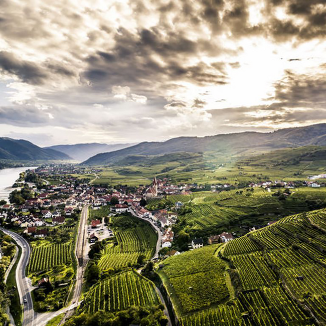 Mathias Hirtzberger Grüner Veltliner Federspiel Treu Wachau DAC 2025 0,75 l