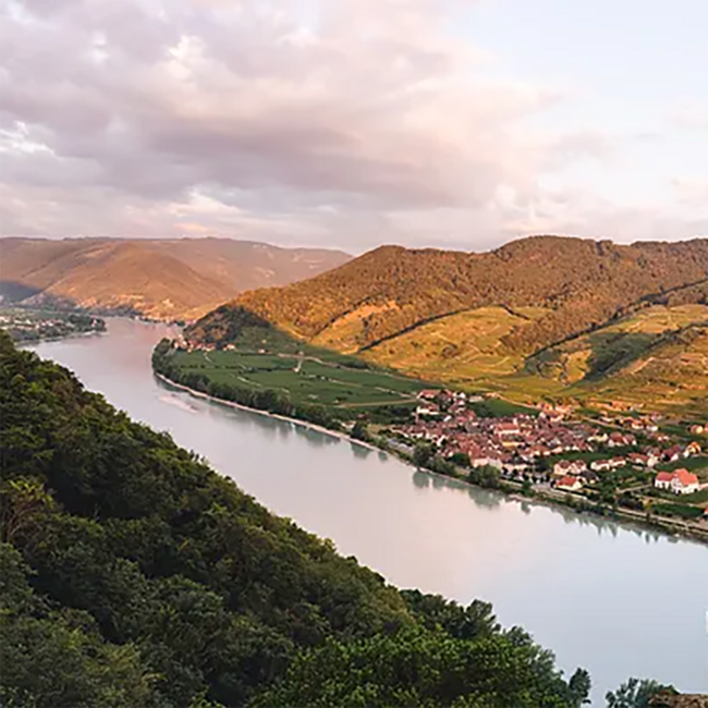 Mathias Hirtzberger Grüner Veltliner Federspiel Treu Wachau DAC 2025 0,75 l