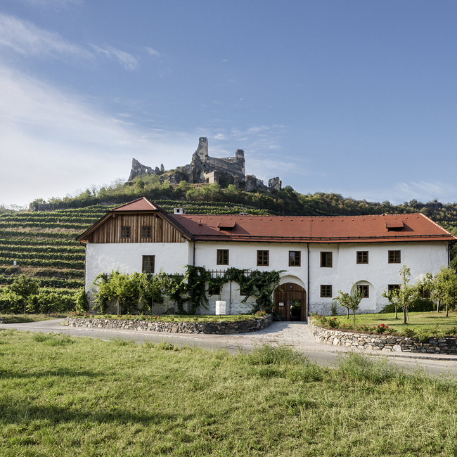 Grüner Veltliner Freiheit 2025 0.75 l