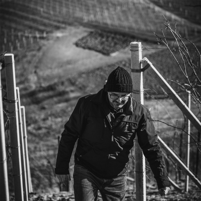 Bansella Barbera Nizza DOCG 2023 0.75 l