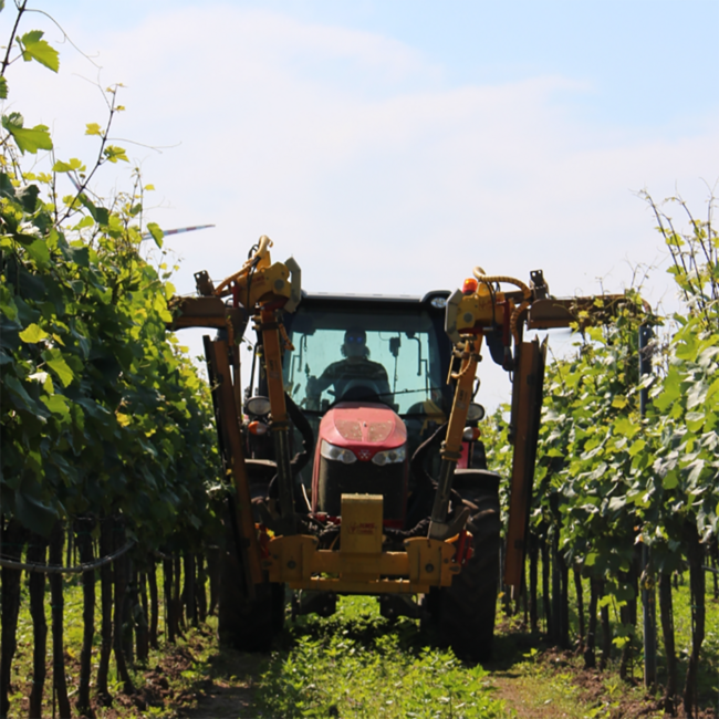 Big John Cuvee Reserve (ZW/CS/PN) 2024 0.75 l