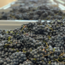 Big John Cuvee Reserve (ZW/CS/PN) 2024 0.75 l