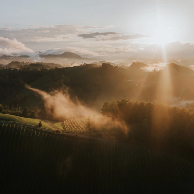 Kalk & Kreide Sauvignon Blanc Südsteiermark DAC 2025 0.75 l