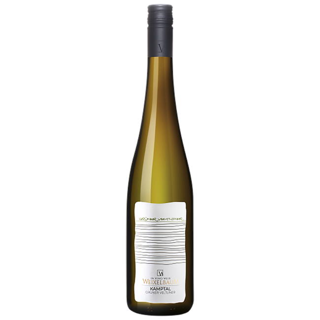 Grüner Veltliner "Stephanus" Kamptal DAC 2025 0.75 l