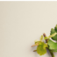 Sauvignon Blanc Sunki Südsteiermark DAC 2025 0.75 l
