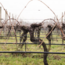 Lugana DOC Santa Cristina 2025 0.75 l