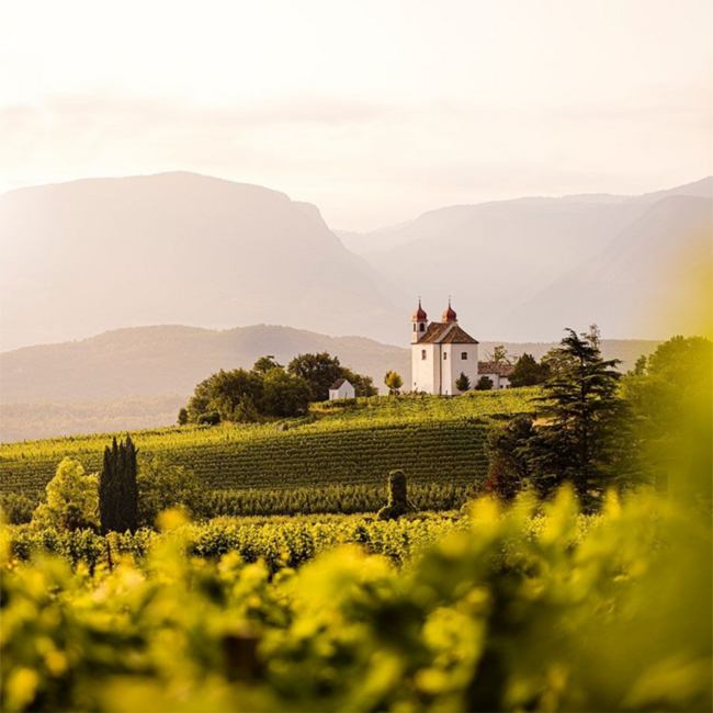 Walcher Grappa St. Magdalena Barrique 0.5 l 40% vol