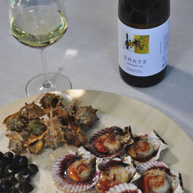 Chardonnay "234" Somontano 2025 0.75 l