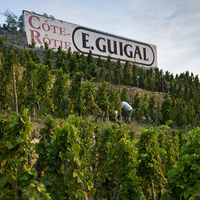 Cotes du Rhone Rouge AC 2023 0.75 l