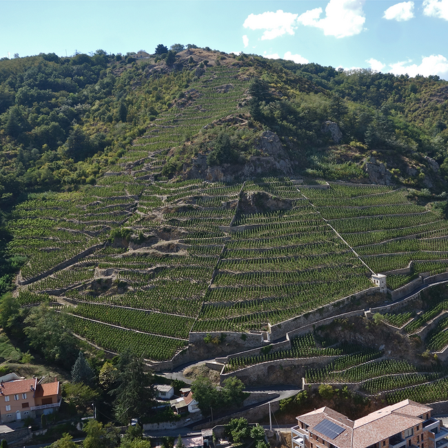 Cotes du Rhone Rouge AC 2024 0.75 l