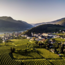 Grüner Veltliner Smaragd Ried Axpoint 2024 0.75 l