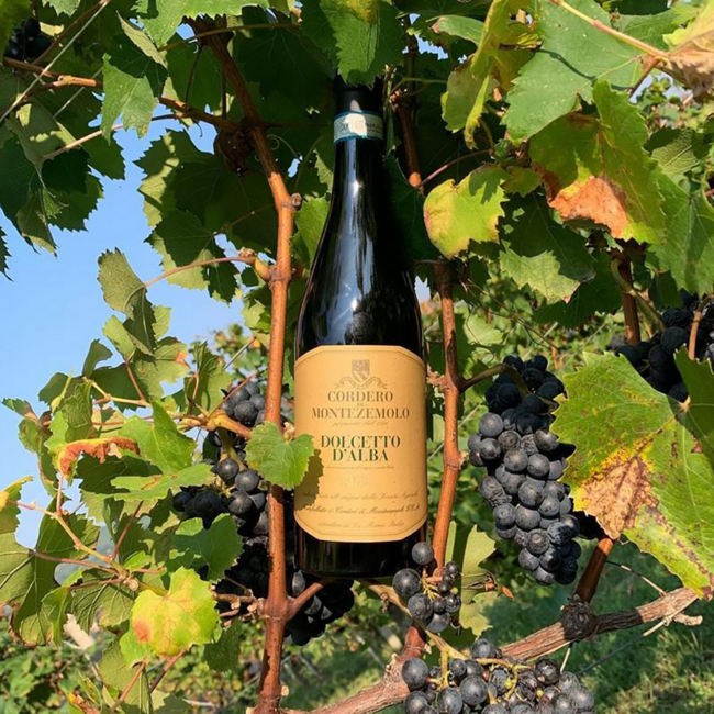 Dolcetto d'Alba DOC BIO 2024 0.75 l