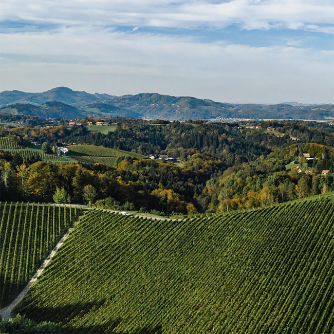 Gamlitz Sauvignon Blanc Südsteiermark DAC BIO 2025 0.75 l