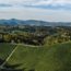 Gamlitz Sauvignon Blanc Südsteiermark DAC BIO 2025 0.75 l