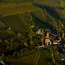 Riesling Wagram 2025 0.75 l