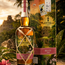 Planteray Belize 2008 Limited Edition  Rum 0.7 l 48.30% vol