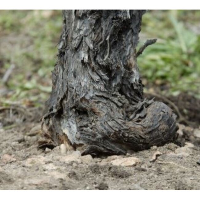Lagrein Porphyr Riserva Alto Adige DOC 2023 0.75 l